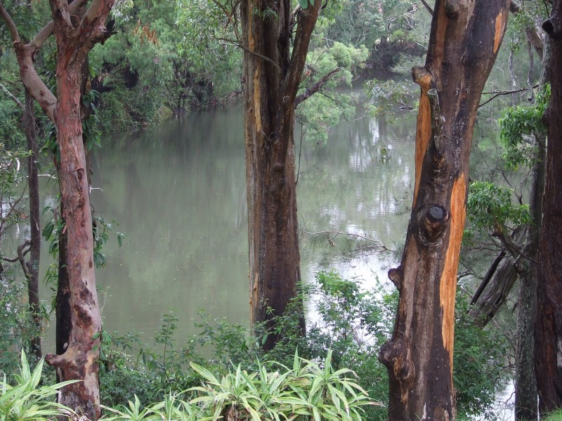 2/21 Tomkins Avenue, Woolgoolga NSW 2456