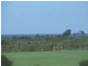 16 Maldon Place, Woolgoolga NSW 2456
