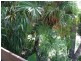 16 Maldon Place, Woolgoolga NSW 2456