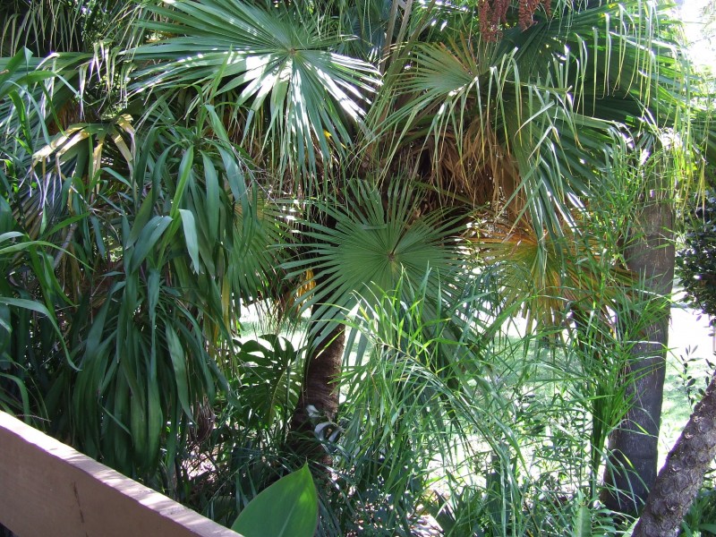 16 Maldon Place, Woolgoolga NSW 2456