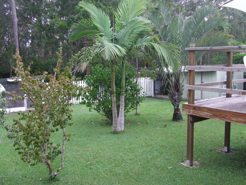 97 Nightingale Street, Woolgoolga NSW 2456