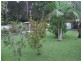 97 Nightingale Street, Woolgoolga NSW 2456