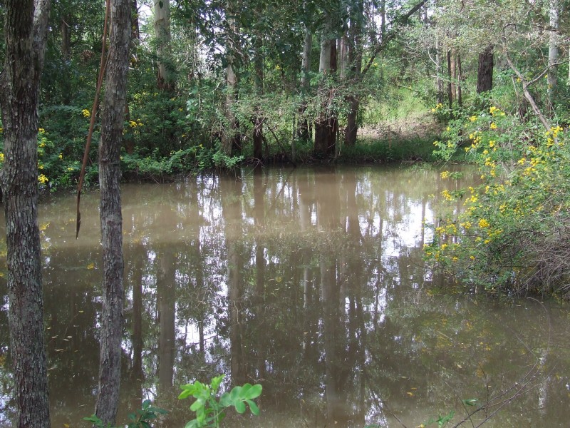 240 NEWMANS ROAD, Woolgoolga NSW 2456