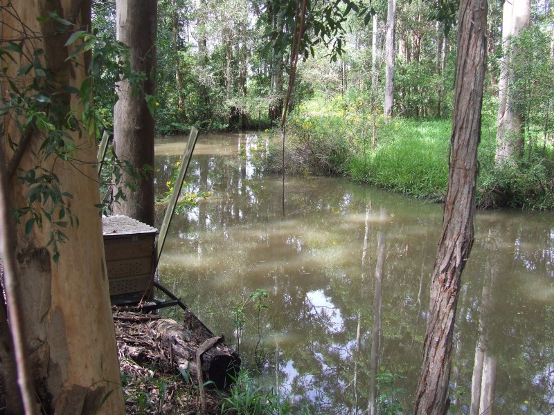 240 NEWMANS ROAD, Woolgoolga NSW 2456