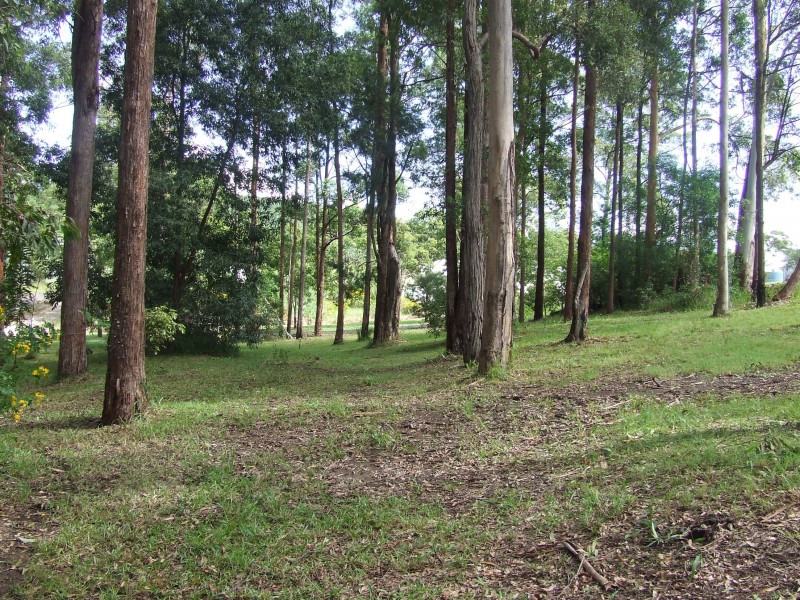 240 NEWMANS ROAD, Woolgoolga NSW 2456