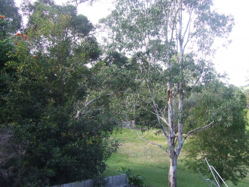 11 Dunn Place, Coffs Harbour NSW 2450