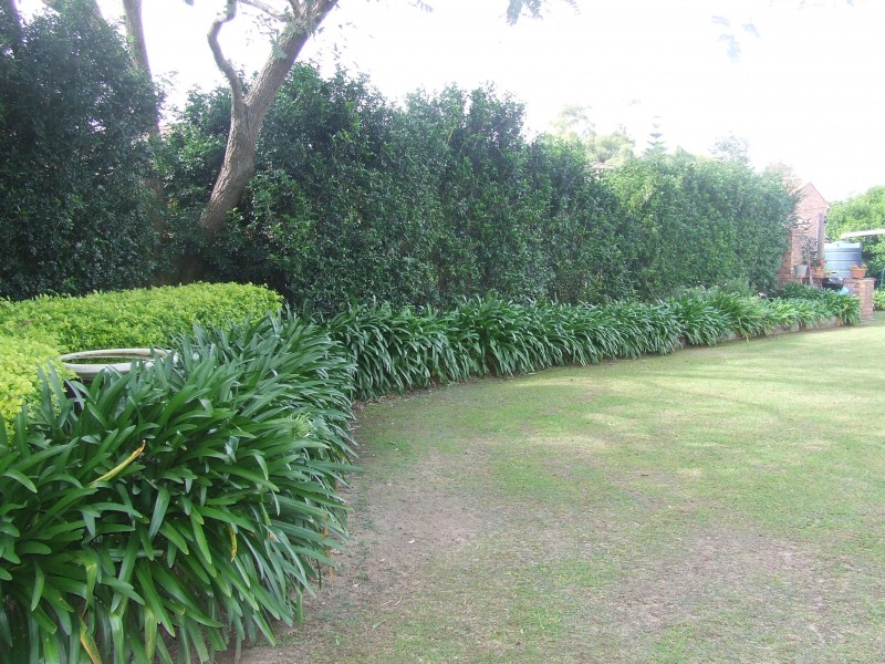 22 Knox Street, Woolgoolga NSW 2456