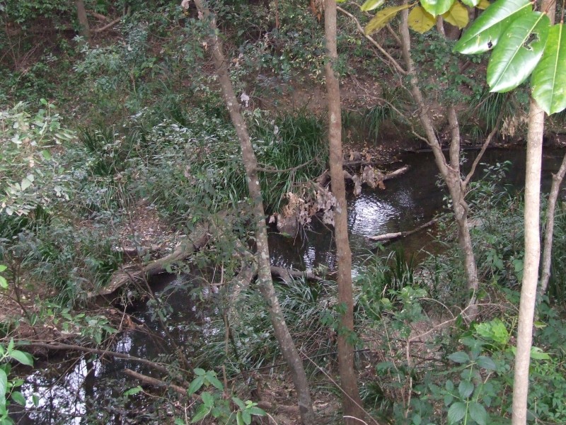 10 Carabeen Close, Woolgoolga NSW 2456