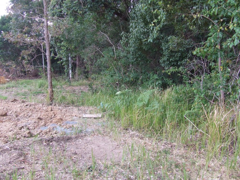 10 Carabeen Close, Woolgoolga NSW 2456