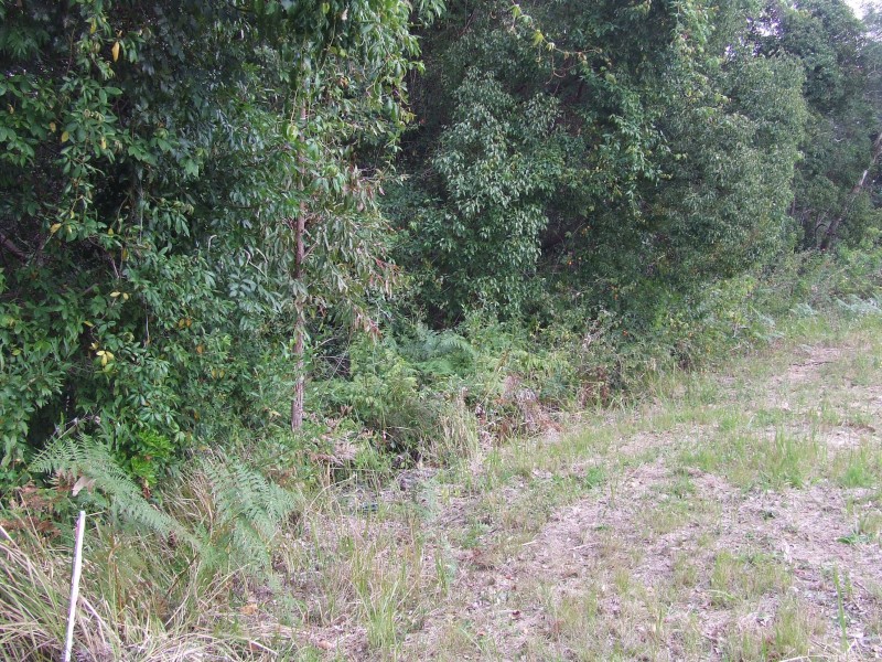 10 Carabeen Close, Woolgoolga NSW 2456