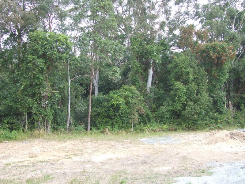 10 Carabeen Close, Woolgoolga NSW 2456