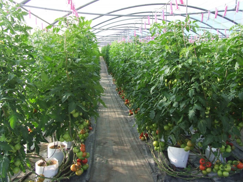 188 ENGLANDS RD, North Boambee Valley NSW 2450