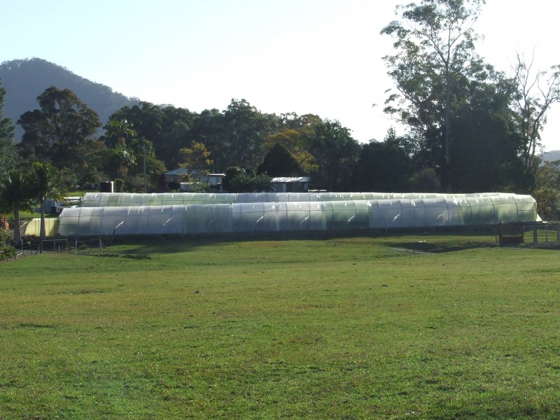 188 ENGLANDS RD, North Boambee Valley NSW 2450