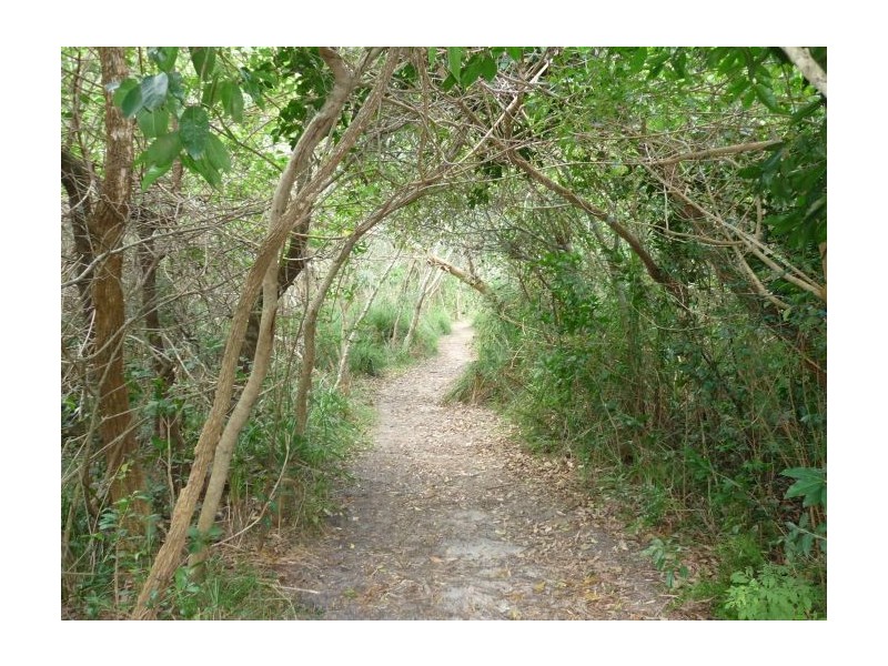 76 Flaherty Street, Red Rock NSW 2456