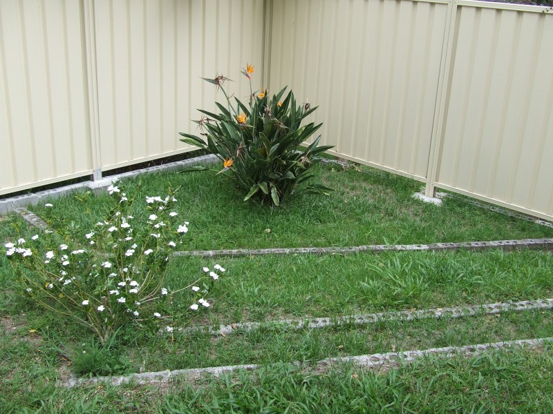 35 St Andrews Drive, Woolgoolga NSW 2456