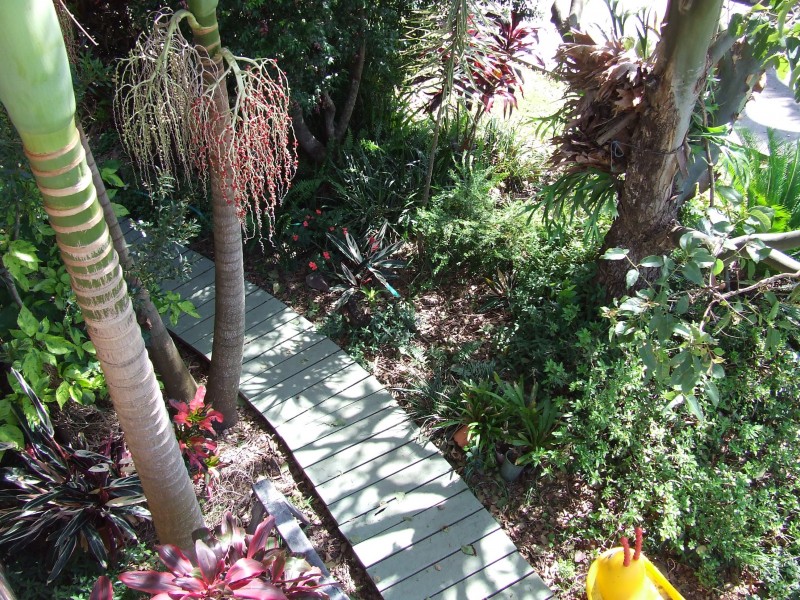 12 Stefan Close, Emerald Beach NSW 2456