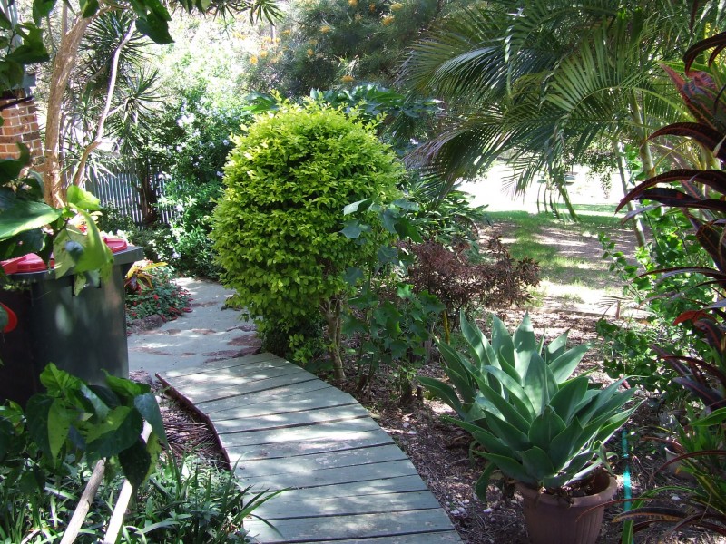 12 Stefan Close, Emerald Beach NSW 2456