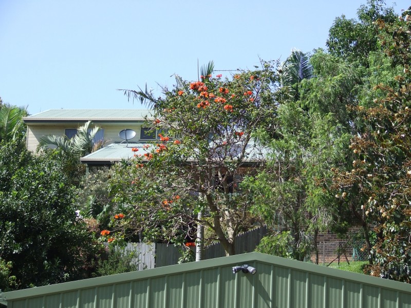 12 Stefan Close, Emerald Beach NSW 2456