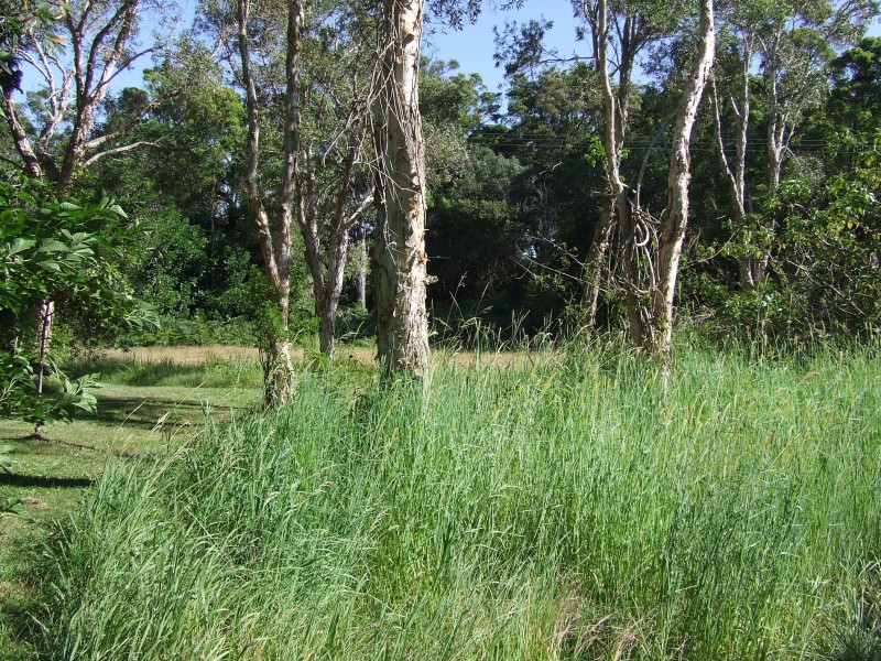 26 Arrawarra Beach Road, Arrawarra NSW 2456