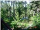 36 Sunset Ave, Woolgoolga NSW 2456