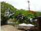 36 Sunset Ave, Woolgoolga NSW 2456