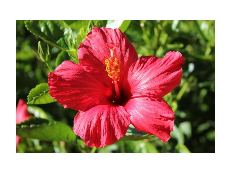 34 Warrawee Street, Sapphire Beach NSW 2450