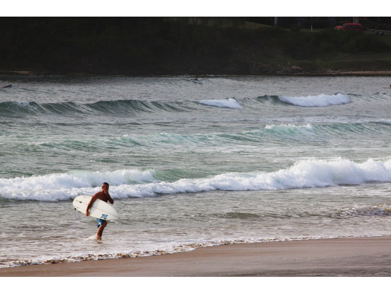 8 Clear place, Woolgoolga NSW 2456