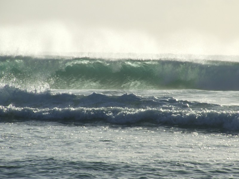 22 Chestnut Ave, Sandy Beach NSW 2456