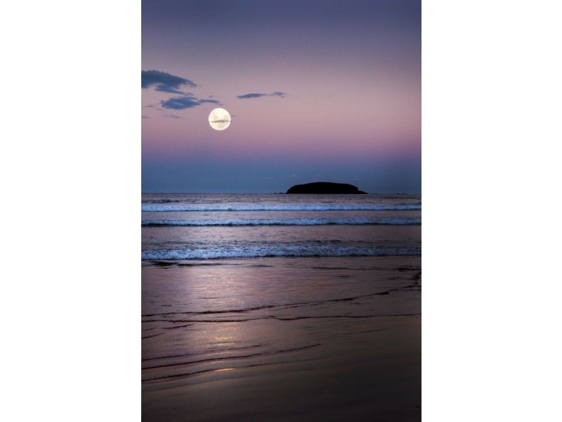 50 Bluegum Avenue, Sandy Beach NSW 2456