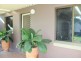 56 Ironbark Avenue, Sandy Beach NSW 2456