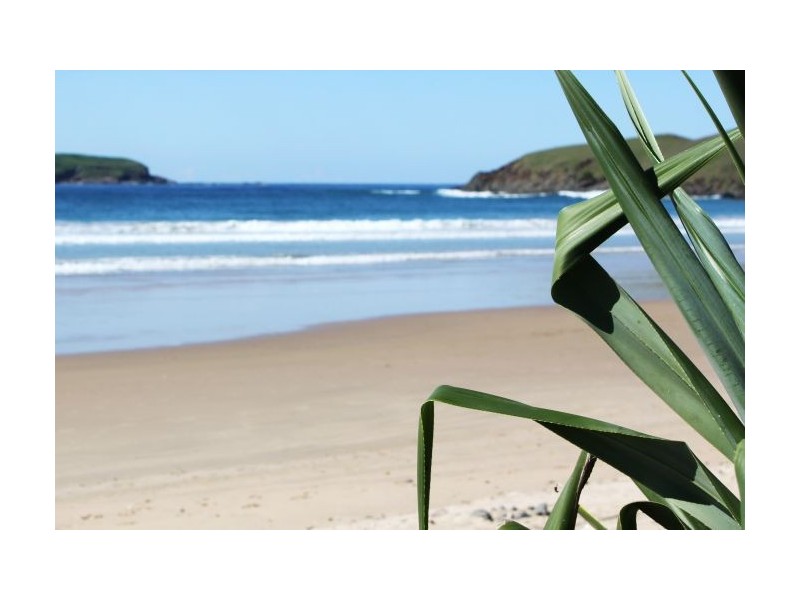 35 Turpentine Avenue, Sandy Beach NSW 2456
