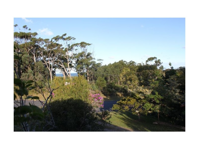46 Nightingale Street, Woolgoolga NSW 2456