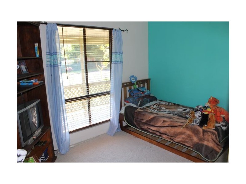 19 Ryan Crescent, Woolgoolga NSW 2456