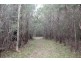 426 Florda Red Drive, Wells Crossing NSW 2460