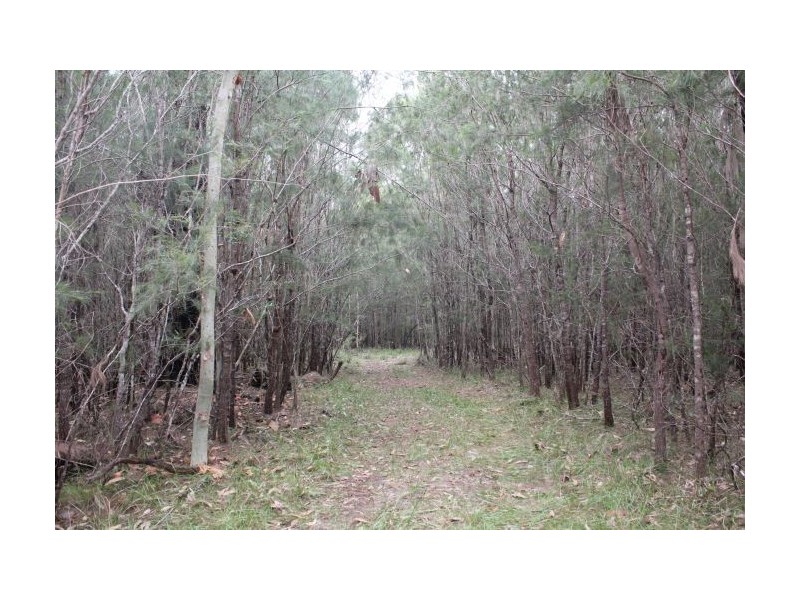 426 Florda Red Drive, Wells Crossing NSW 2460