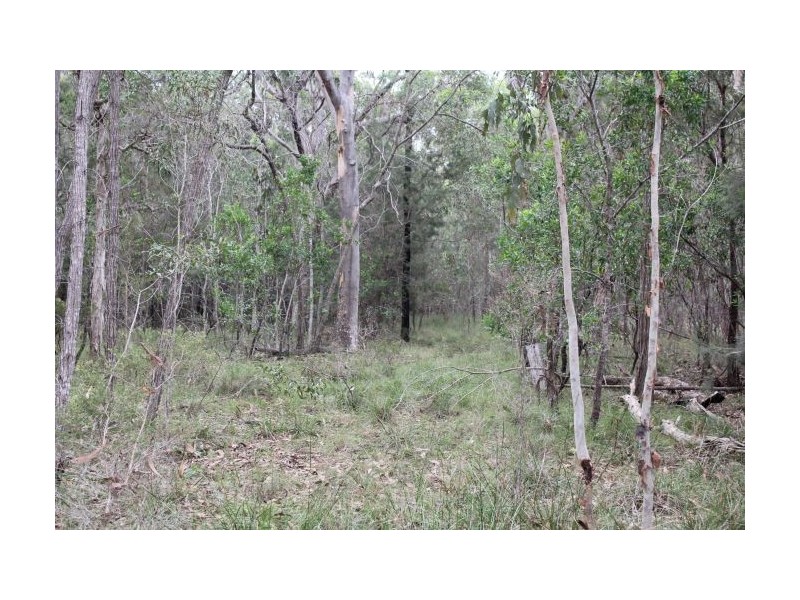 426 Florda Red Drive, Wells Crossing NSW 2460