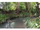 12 Carabeen Close, Woolgoolga NSW 2456
