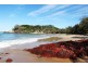 72 Flaherty Street, Red Rock NSW 2456