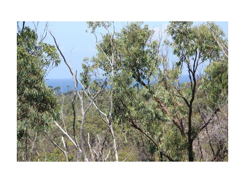 6 Arrawarra Rd, Arrawarra Headland NSW 2456