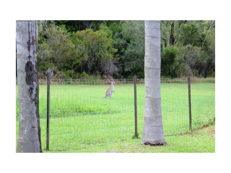 3 Orchid Road, Mullaway NSW 2456