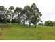 16 Carabeen Close, Woolgoolga NSW 2456