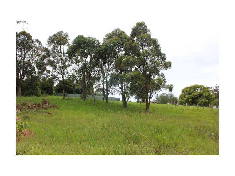 16 Carabeen Close, Woolgoolga NSW 2456