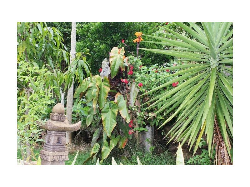 15 Sunset Avenue, Woolgoolga NSW 2456