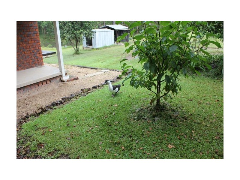 40 Palmer Road, Woolgoolga NSW 2456
