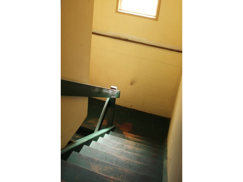 51 Bluegum Avenue, Sandy Beach NSW 2456