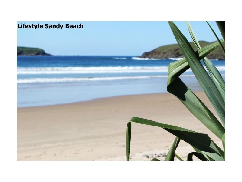 51 Bluegum Avenue, Sandy Beach NSW 2456