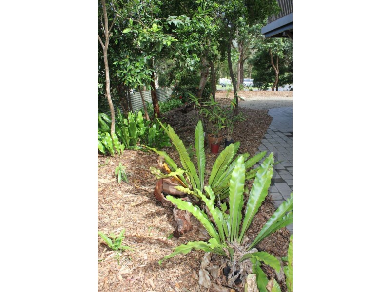 1 Flaherty Street, Red Rock NSW 2456