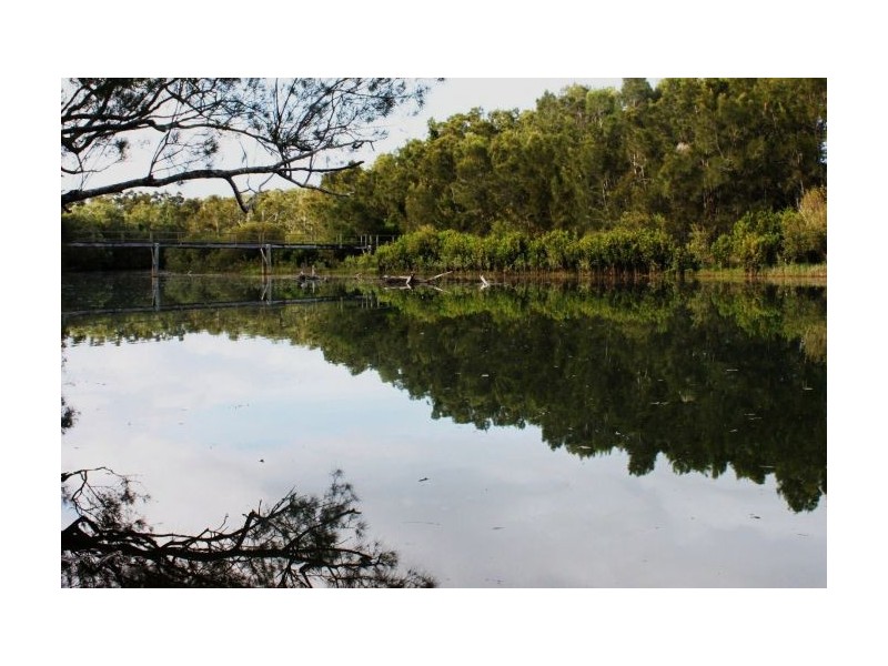 55 Melaleuca Avenue, Woolgoolga NSW 2456