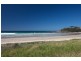 55 Melaleuca Avenue, Woolgoolga NSW 2456