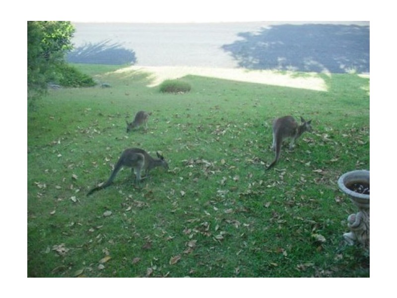 13 Panorama, Safety Beach NSW 2456